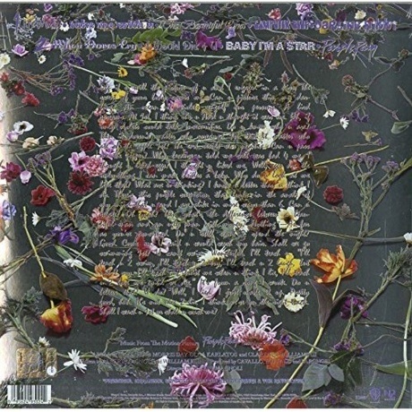 Prince &amp; The Revolution - Purple Rain (0093624930242) виниловая пластинка - фото 2