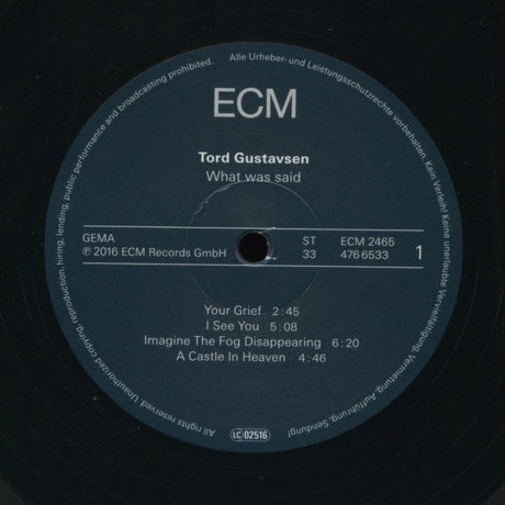 Tord Gustavsen - What Was Said (0602547665324) виниловая пластинка - фото 3