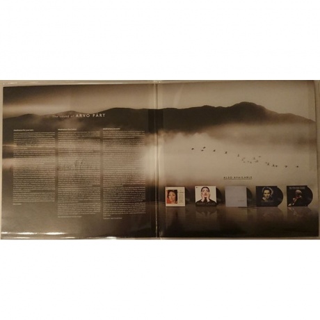 Richard Studt - Part: The Sound Of (0825646043798) виниловая пластинка - фото 3