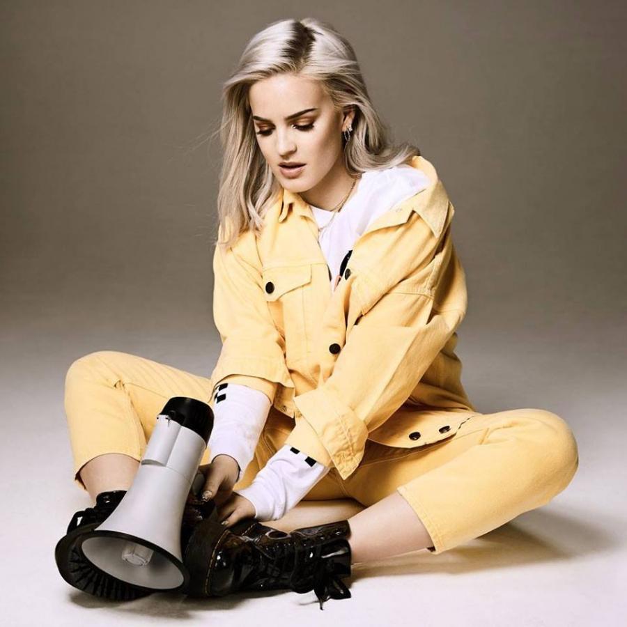 

Виниловая пластинка Anne-Marie, Speak Your Mind