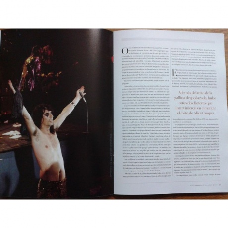 Alice Cooper - Greatest Hits (0603497857883) виниловая пластинка - фото 14