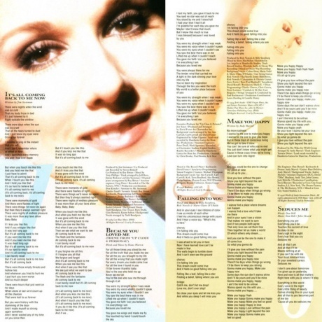 Celine Dion - Falling Into You (0190758638614) виниловая пластинка - фото 3