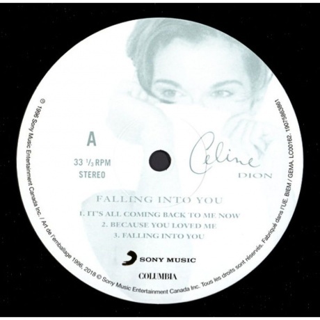 Celine Dion - Falling Into You (0190758638614) виниловая пластинка - фото 5