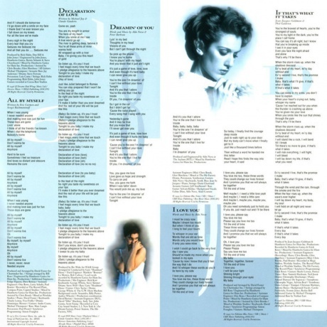 Celine Dion - Falling Into You (0190758638614) виниловая пластинка - фото 9