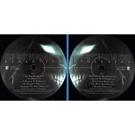 Disturbed - Evolution (0093624905073) виниловая пластинка - фото 2