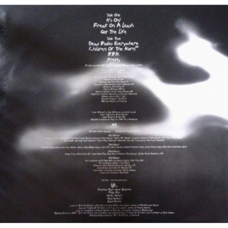 Korn, Follow The Leader (0190758658513) виниловая пластинка - фото 9