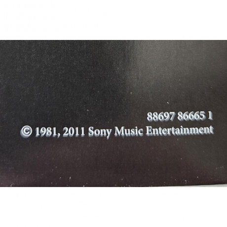 Osbourne, Ozzy, Diary Of A Madman (0886978666512) виниловая пластинка - фото 5