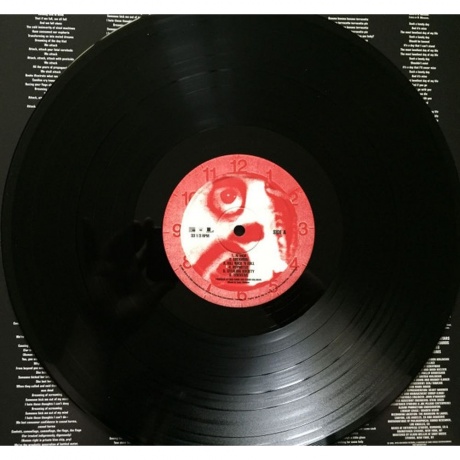 System Of A Down - Hypnotize (0190758656014) виниловая пластинка - фото 3