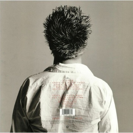 Eurythmics - Peace (0190758116617) виниловая пластинка - фото 2