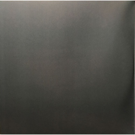 Nik Bartsch's Ronin - Awase (0602567358695) виниловая пластинка - фото 2