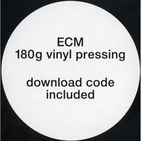 Nik Bartsch's Ronin - Awase (0602567358695) виниловая пластинка - фото 9