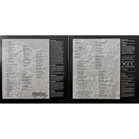 Sepultura - Arise (0603497862887) виниловая пластинка - фото 4