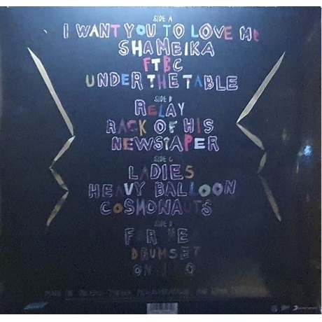 Apple, Fiona, Fetch The Bolt Cutters (0194397740318) виниловая пластинка - фото 2