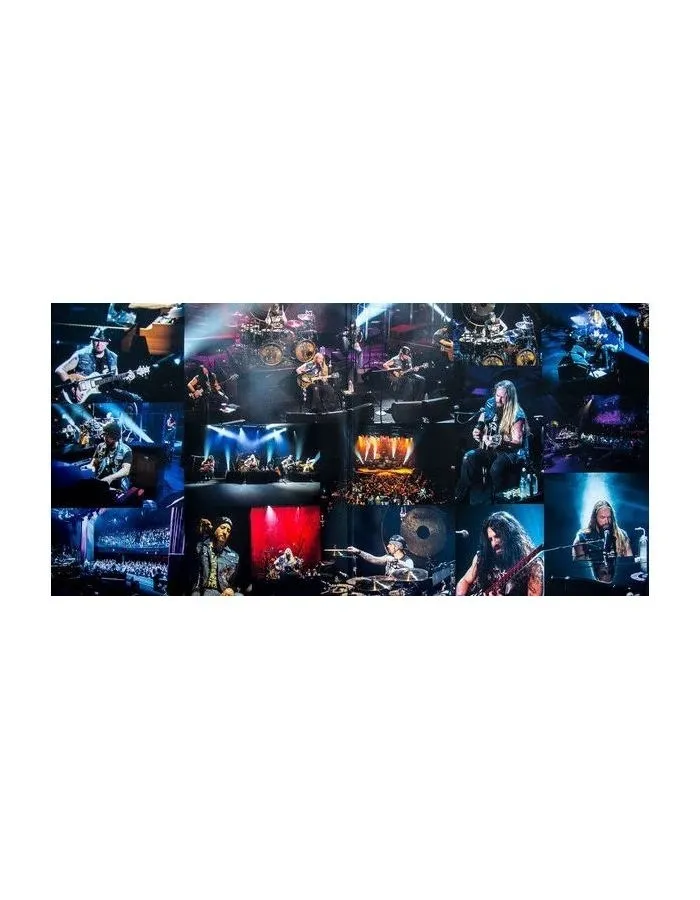 Виниловая пластинка Black Label Society, Unblackened (5060310150111) - фото 5