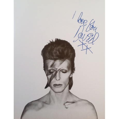 Виниловая пластинка Bowie, David, Aladdin Sane (barcode 0825646289431) - фото 10