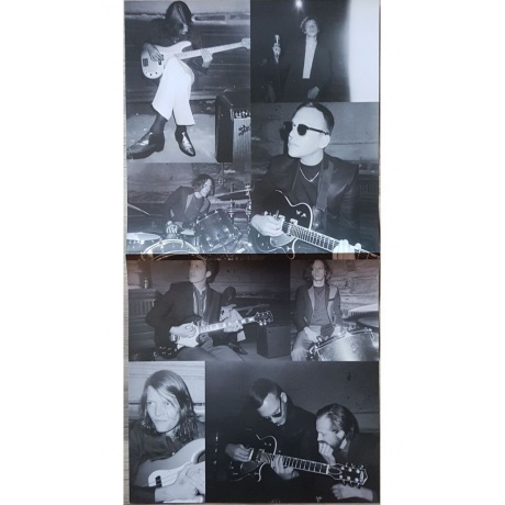 Cage The Elephant - Social Cues (0190759279212) виниловая пластинка - фото 9