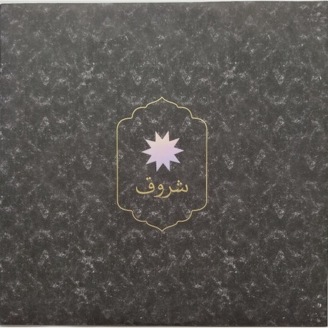 Coldplay - Everyday Life (0190295355487) виниловая пластинка - фото 14