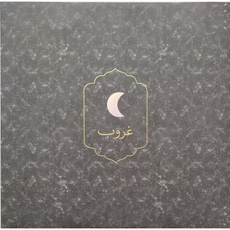 Coldplay - Everyday Life (0190295355487) виниловая пластинка - фото 18