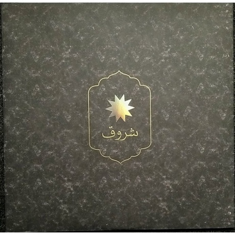 Coldplay - Everyday Life (0190295355487) виниловая пластинка - фото 3