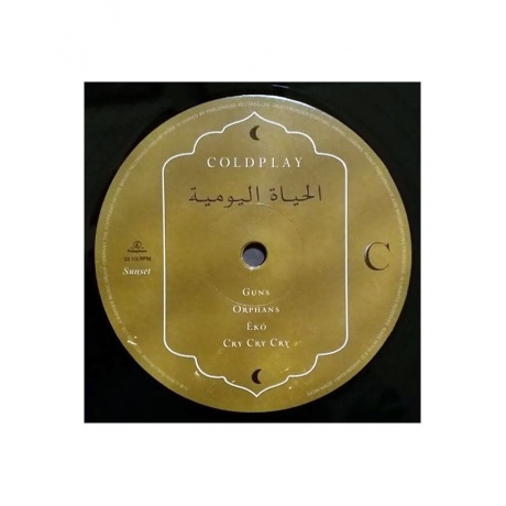 Виниловая пластинка Coldplay, Everyday Life (0190295355487) - фото 10