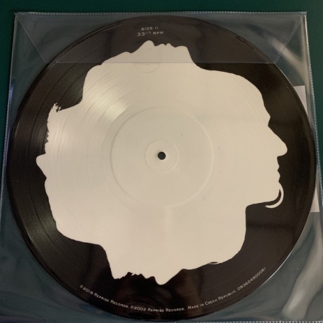 Disturbed - Believe (picture) (0093624900061) виниловая пластинка - фото 2