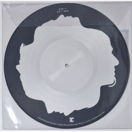 Disturbed - Believe (picture) (0093624900061) виниловая пластинка - фото 4