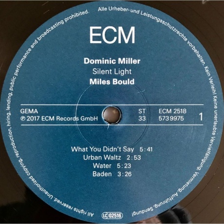Dominic Miller - Silent Light (0602557399752) виниловая пластинка - фото 4