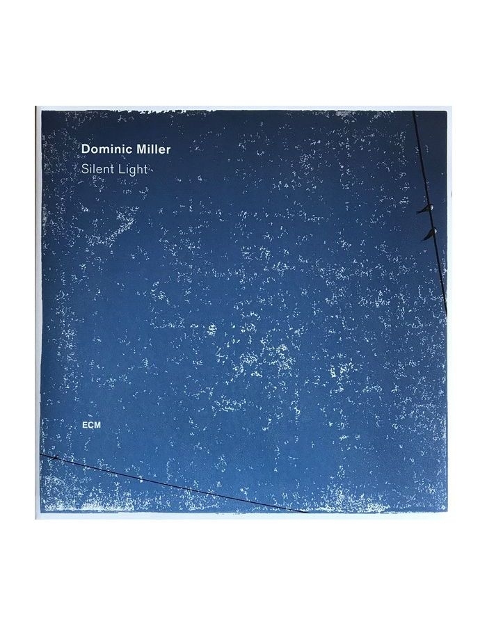 Виниловая пластинка Dominic Miller, Silent Light (0602557399752) dominic miller dominic miller absinthe 180 gr