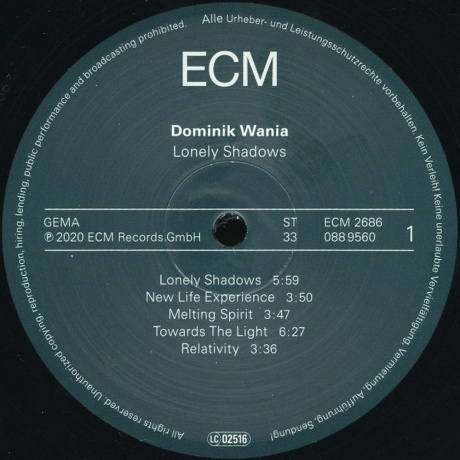 Dominik Wania - Lonely Shadows (0602508895609) виниловая пластинка - фото 3