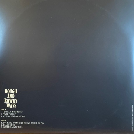 Bob Dylan - Rough And Rowdy Ways (0194397809916) виниловая пластинка - фото 11