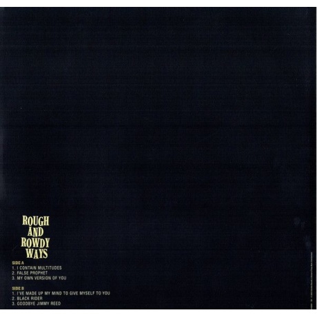 Виниловая пластинка Dylan, Bob, Rough And Rowdy Ways (barcode 0194397834215) - фото 19