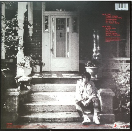 Виниловая пластинка Dylan, Bob, Under The Red Sky (barcode 0190758469416) - фото 2