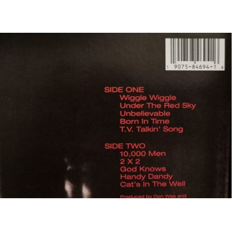 Виниловая пластинка Dylan, Bob, Under The Red Sky (barcode 0190758469416) - фото 7