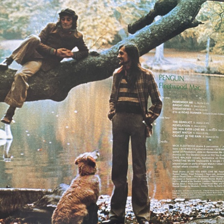 Виниловая пластинка Fleetwood Mac, 1969-1974 (barcode 0603497851294) - фото 29