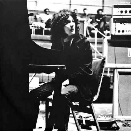 Виниловая пластинка Fleetwood Mac, Before The Beginning 1968–1970 Vol. 1 (barcode 0190759232514) - фото 4