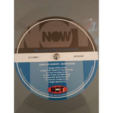 John Lee Hooker - Boom Boom (coloured) (5060403742582) виниловая пластинка - фото 7