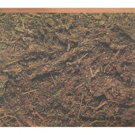 Jefferson Airplane - Long John Silver (coloured) (0603497851829) виниловая пластинка - фото 4