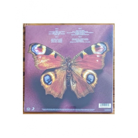 Виниловая пластинка Kaytranada, Bubba (0194397244816) - фото 2