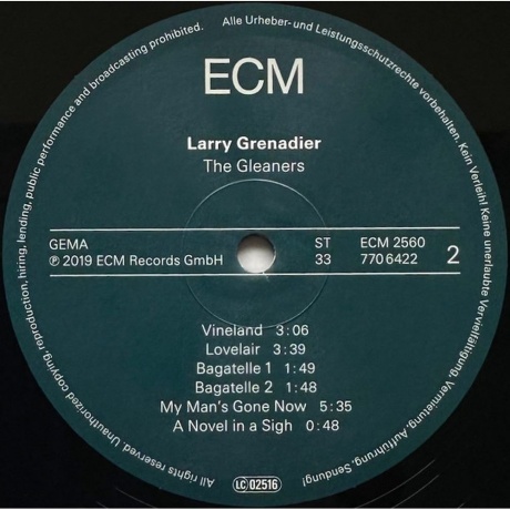 Larry Grenadier - The Gleaners (0602577064227) виниловая пластинка - фото 4