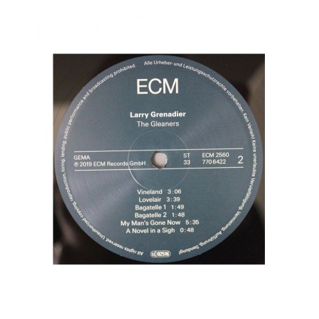 Виниловая пластинка Larry Grenadier, The Gleaners (0602577064227) - фото 3