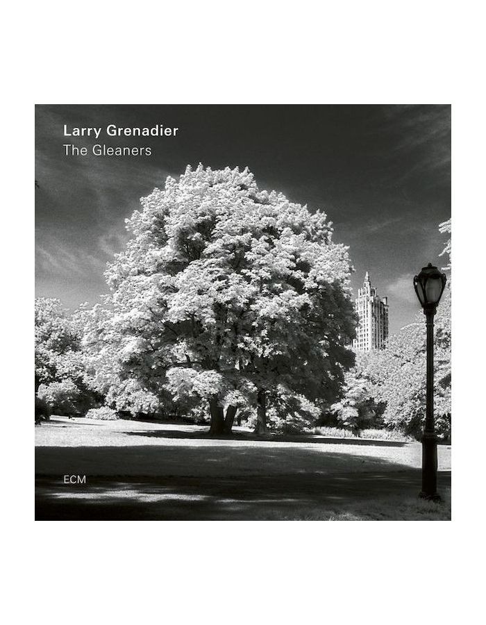 Виниловая пластинка Larry Grenadier, The Gleaners (0602577064227) компакт диски ecm records grenadier larry the gleaners cd