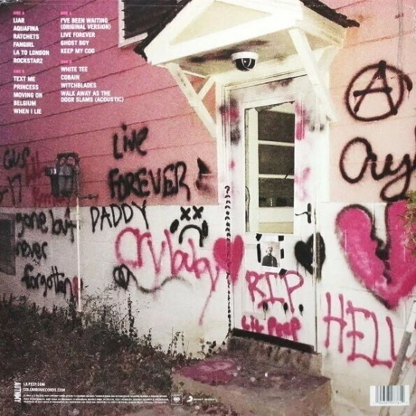 Lil Peep - Everybody's Everything (0194397077612) виниловая пластинка - фото 2