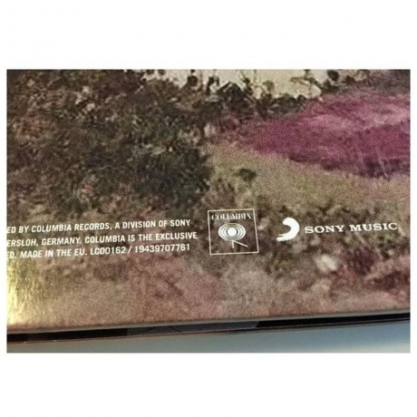 Lil Peep - Everybody's Everything (0194397077612) виниловая пластинка - фото 4