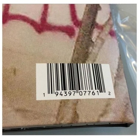 Lil Peep - Everybody's Everything (0194397077612) виниловая пластинка - фото 5