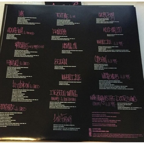 Lil Peep - Everybody's Everything (0194397077612) виниловая пластинка - фото 10