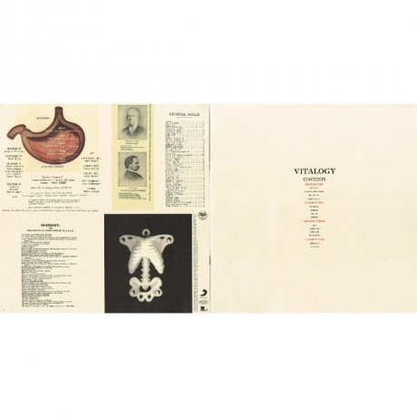 Pearl Jam - Vitalogy (0886978431110) виниловая пластинка - фото 12