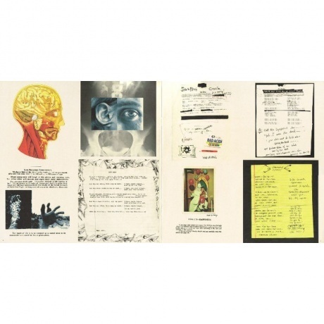 Pearl Jam - Vitalogy (0886978431110) виниловая пластинка - фото 13