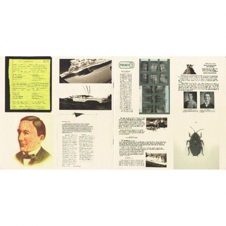 Pearl Jam - Vitalogy (0886978431110) виниловая пластинка - фото 14