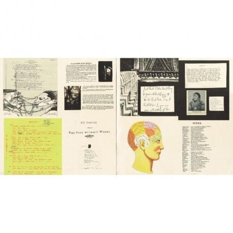 Pearl Jam - Vitalogy (0886978431110) виниловая пластинка - фото 15