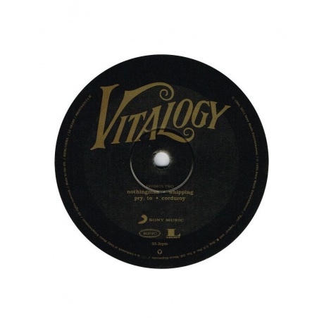 Виниловая пластинка Pearl Jam, Vitalogy Vinyl Edition (0886978431110) - фото 11